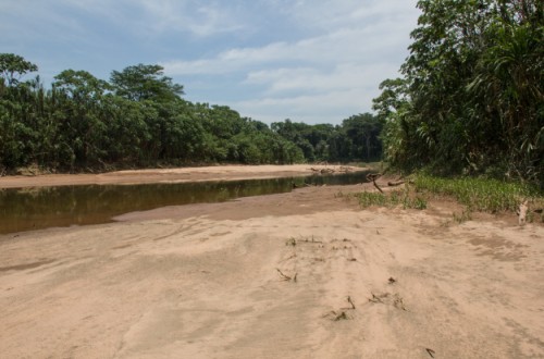 A dried up riverbed in the Bolvian jungle